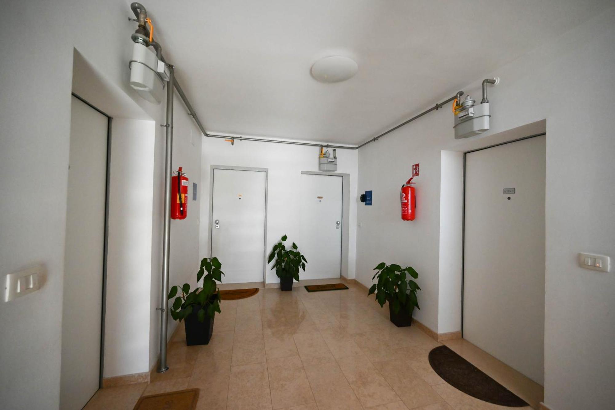 Apartment Emma Rovinj Eksteriør billede